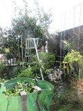 IMG_0093.JPG