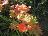 IMG_9680.JPG