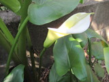 IMG_9992.JPG